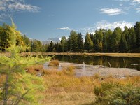 Le torbiere come valido contributo per uscire dalla crisi climatica
