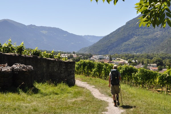 Luci ed ombre nelle Alpi Italiane