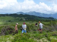 Partecipazione civica: come guadagnare terreno