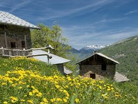 Protezione della natura al servizio dell’uomo