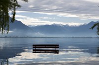 Qual è lo stato di salute delle Alpi?