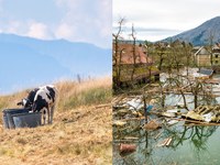 Rischi climatici: prepararsi anziché aspettare