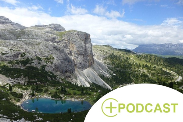 Suoli alpini: alleati nella protezione del clima