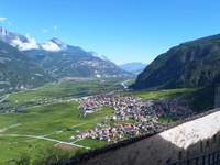 Un picolo comune ferma l'autostrada