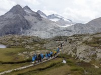 Un viaggio nel mondo dei ghiacci in pericolo delle Alpi