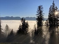 Il paesaggio alpino non è rinnovabile!
