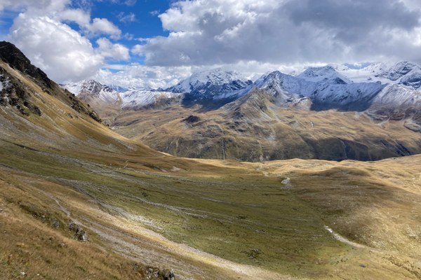 AlpsLife – osservare globalmente, agire localmente