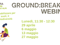 «Ground:breaking» Webinar