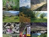 Piattaforma Rete ecologica