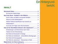 Stürmische Zeiten im Bergwald (Tempi tempestosi per il bosco di montagna). Una relazione specifica.