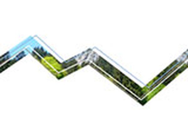 Gestione forestale nel cambiamento climatico