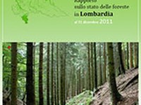 Rapporto sullo stato delle foreste in Lombardia al 31 dicembre 2011