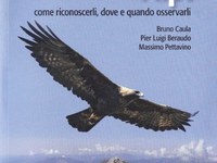 Gli uccelli delle Alpi