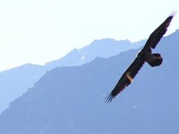 Izmenjava znanja in izkušenj o raziskovanju zavarovanih obmocij