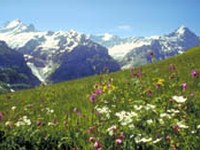 Turistična nagrada za kulturne krajine