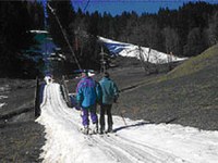 V Alpah postaja vse topleje