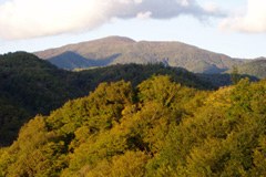 Zimske olimpijske igre na Kavkazu