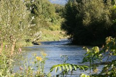 Počasno uresničevanje akcijskega načrta Alpske konvencije za omilitev podnebnih sprememb