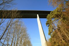 Švicarski ne "megatovornjakom"