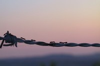 Novo ime za uveljavljeno publikacijo