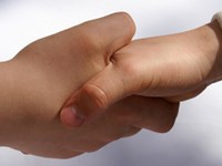 Alpe-Jadran spodbuja čezmejno rabo alternativnih energij