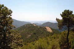 Nova ureditev javnih upravnih organov v Italiji pomeni nevarnost za narodne parke