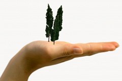 Zgledno ravnanje Graubündna na področju varstva narave