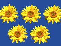 Skupna kandidatura Vorarlberga in Lihtenštajna za mladinske olimpijske igre 2015