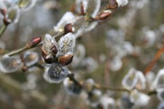 Najtoplejše desetletje v zadnjih 130 letih