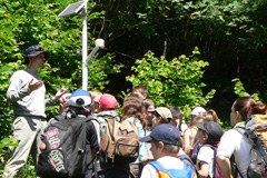 Občine lahko podnebne spremembe opazujejo v okviru programa Phenoclim