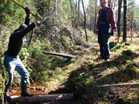 Sečnja za ohranitec mokrišč