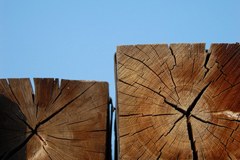 Zbirka "compact" za vse!