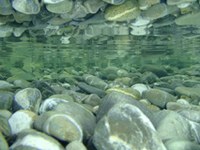 Državni kapital za elektrarne na občutljivih zavarovanih območjih