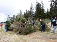 Na Pohorju ohranjajo planje