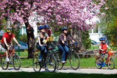 Pogled s strani: energijska samozadostnost - prava pot za občine z vizijo