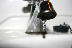 Beljak: aplikacija, ki je koristna za varstvo podnebja