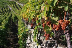 Sondrio in CIPRA praznujeta skupaj