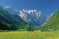 Logarska dolina: pametno varstvo narave