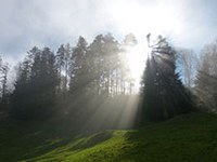 50 let naravnih parkov v Avstriji