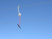 Zeleni zimski športi