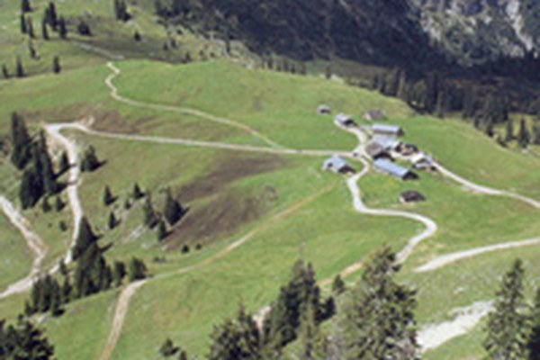 Spodbujanje planinskega pašništva