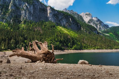 Alpe se spreminjajo v sušno regijo
