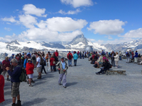 Bomo ledenike ljubili do smrti?