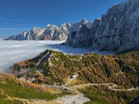 Demonstracijska tura - SMER TNP