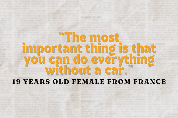 Kakovost življenja mladih v Alpah - primerjalna analiza rezultatov intervjujev in literature iz Nemčije, Slovenije, Francije in Lihtenštajna