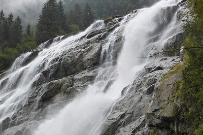 Katere storitve zagotavlja narava?