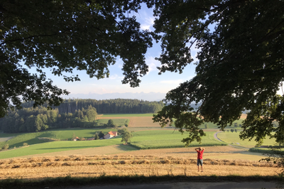 Majhni ognji, veliki izzivi