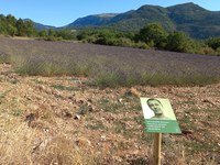 Nudging v alpskem turizmu