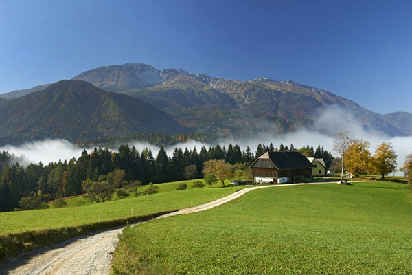 Perspektive za mlade