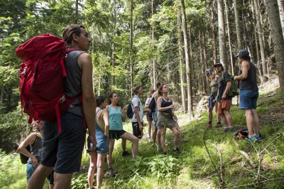 Projekt Living Labs – leto, polno mladih idej